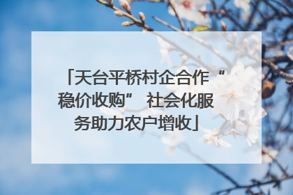 天台平桥村企合作“稳价收购” 社会化服务助力农户增收