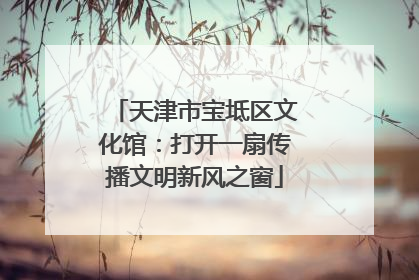 天津市宝坻区文化馆：打开一扇传播文明新风之窗