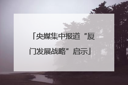 央媒集中报道“厦门发展战略”启示