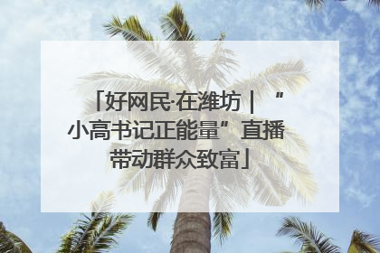 好网民·在潍坊｜“小高书记正能量”直播 带动群众致富