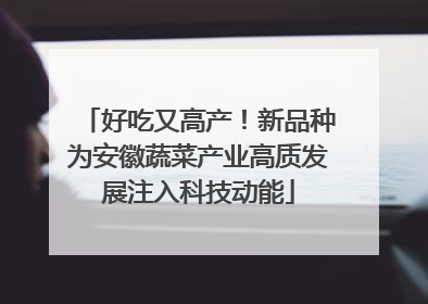 好吃又高产！新品种为安徽蔬菜产业高质发展注入科技动能