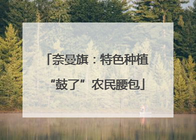奈曼旗：特色种植“鼓了”农民腰包