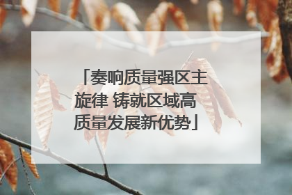 奏响质量强区主旋律 铸就区域高质量发展新优势