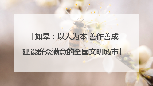 如皋：以人为本 善作善成 建设群众满意的全国文明城市