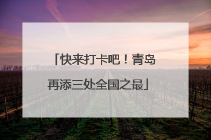 快来打卡吧！青岛再添三处全国之最