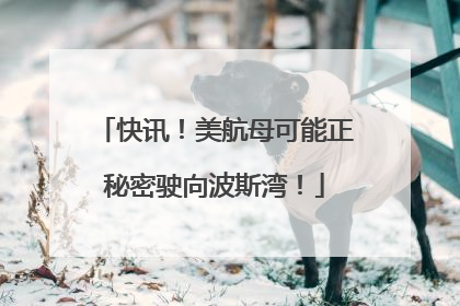 快讯！美航母可能正秘密驶向波斯湾！