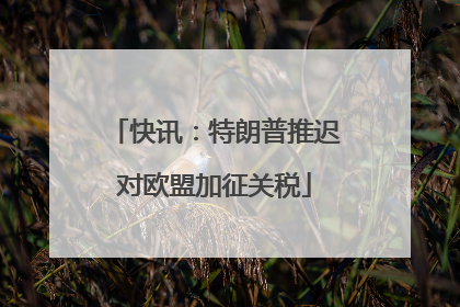 快讯：特朗普推迟对欧盟加征关税