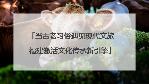 当古老习俗遇见现代文旅 福建激活文化传承新引擎