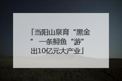当阳山泉育“黑金” 一条鲟鱼“游”出10亿元大产业