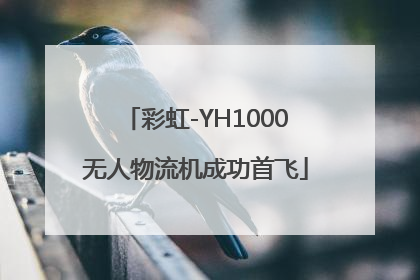 彩虹-YH1000无人物流机成功首飞