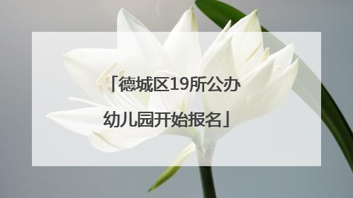 德城区19所公办幼儿园开始报名