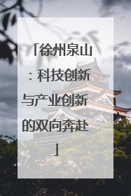 徐州泉山：科技创新与产业创新的双向奔赴