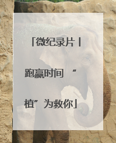 微纪录片丨跑赢时间 “植”为救你