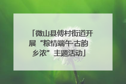 微山县傅村街道开展“粽情端午·古韵乡浓”主题活动
