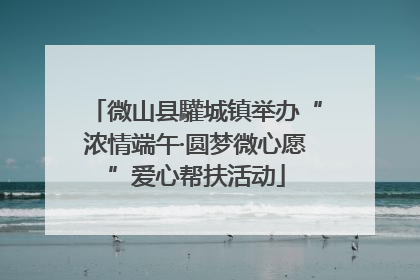 微山县驩城镇举办“浓情端午·圆梦微心愿”爱心帮扶活动