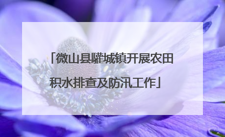 微山县驩城镇开展农田积水排查及防汛工作