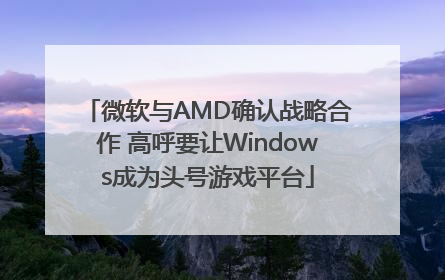 微软与AMD确认战略合作 高呼要让Windows成为头号游戏平台