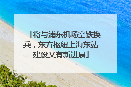 将与浦东机场空铁换乘，东方枢纽上海东站建设又有新进展
