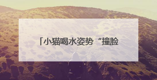 小猫喝水姿势“撞脸”三星堆文物？博物馆：该文物并非来自三星堆，有可能是它