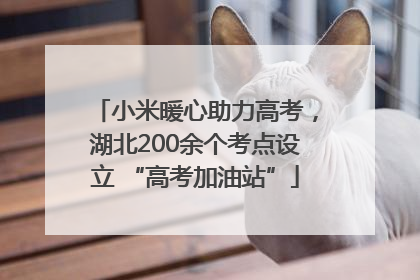 小米暖心助力高考，湖北200余个考点设立 “高考加油站”