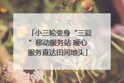 小三轮变身“三夏”移动服务站 暖心服务直达田间地头
