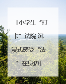 小学生“打卡”法院 沉浸式感受“法”在身边