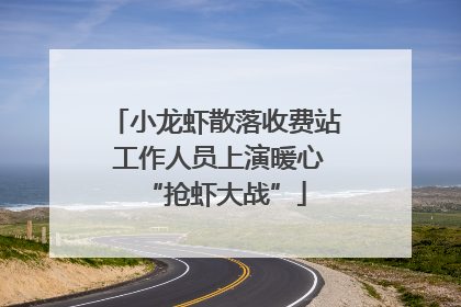 小龙虾散落收费站 工作人员上演暖心“抢虾大战”