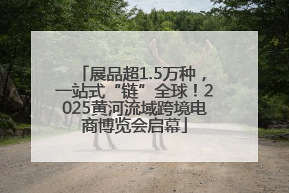 展品超1.5万种，一站式“链”全球！2025黄河流域跨境电商博览会启幕