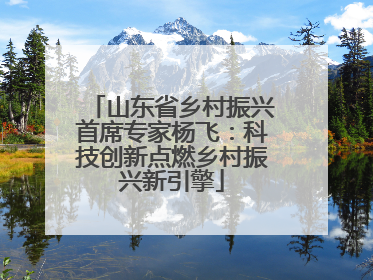 山东省乡村振兴首席专家杨飞：科技创新点燃乡村振兴新引擎
