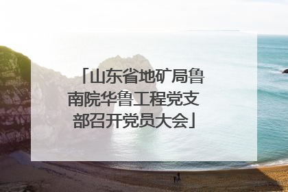 山东省地矿局鲁南院华鲁工程党支部召开党员大会