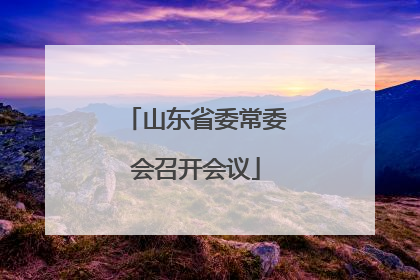 山东省委常委会召开会议