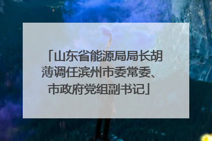 山东省能源局局长胡薄调任滨州市委常委、市政府党组副书记