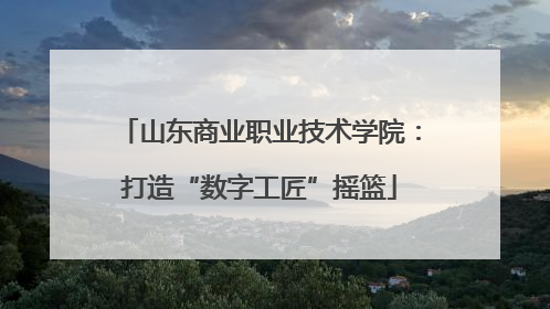 山东商业职业技术学院：打造“数字工匠”摇篮