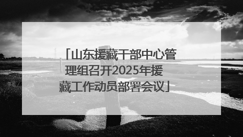 山东援藏干部中心管理组召开2025年援藏工作动员部署会议