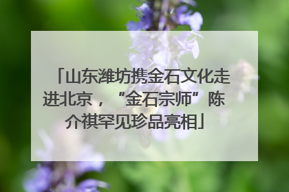 山东潍坊携金石文化走进北京，“金石宗师”陈介祺罕见珍品亮相