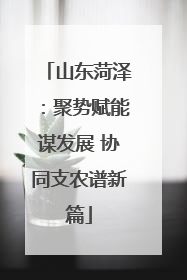 山东菏泽：聚势赋能谋发展 协同支农谱新篇