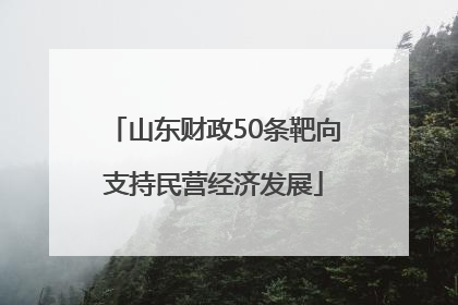 山东财政50条靶向支持民营经济发展