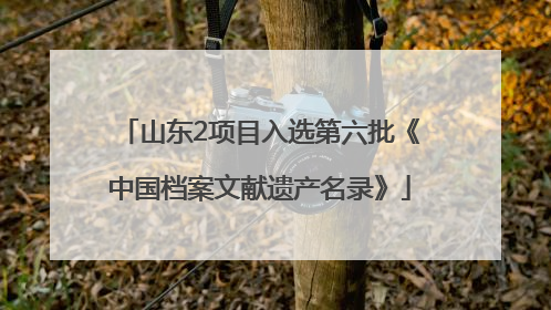 山东2项目入选第六批《中国档案文献遗产名录》