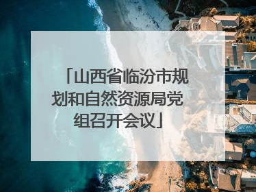 山西省临汾市规划和自然资源局党组召开会议