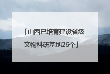 山西已培育建设省级文物科研基地26个