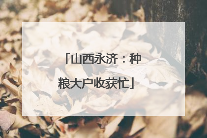 山西永济：种粮大户收获忙