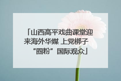 山西高平戏曲课堂迎来海外华媒 上党梆子“圈粉”国际观众