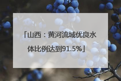 山西：黄河流域优良水体比例达到91.5%