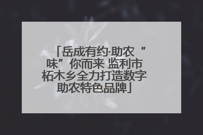 岳成有约·助农“味”你而来 监利市柘木乡全力打造数字助农特色品牌