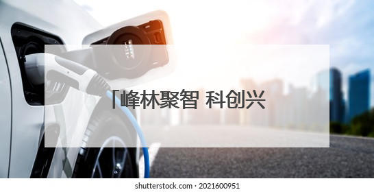 峰林聚智 科创兴张丨周伟良：执科技创新之笔，绘就张家界药谷新篇