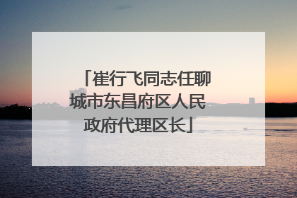 崔行飞同志任聊城市东昌府区人民政府代理区长
