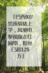 巴西9岁男孩骑猪上学，风驰电掣视频走红网络，粉丝已超125万