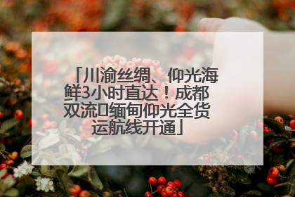 川渝丝绸、仰光海鲜3小时直达！成都双流⇌缅甸仰光全货运航线开通
