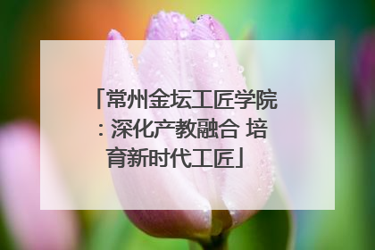 常州金坛工匠学院：深化产教融合 培育新时代工匠