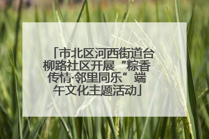 市北区河西街道台柳路社区开展“粽香传情·邻里同乐”端午文化主题活动